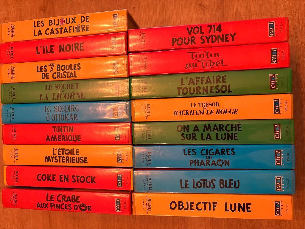 Lot de 17 VHS Tintin, Cd's en Dvd's, VHS | Film, Vanaf 6 jaar, Ophalen, Gebruikt, Overige genres