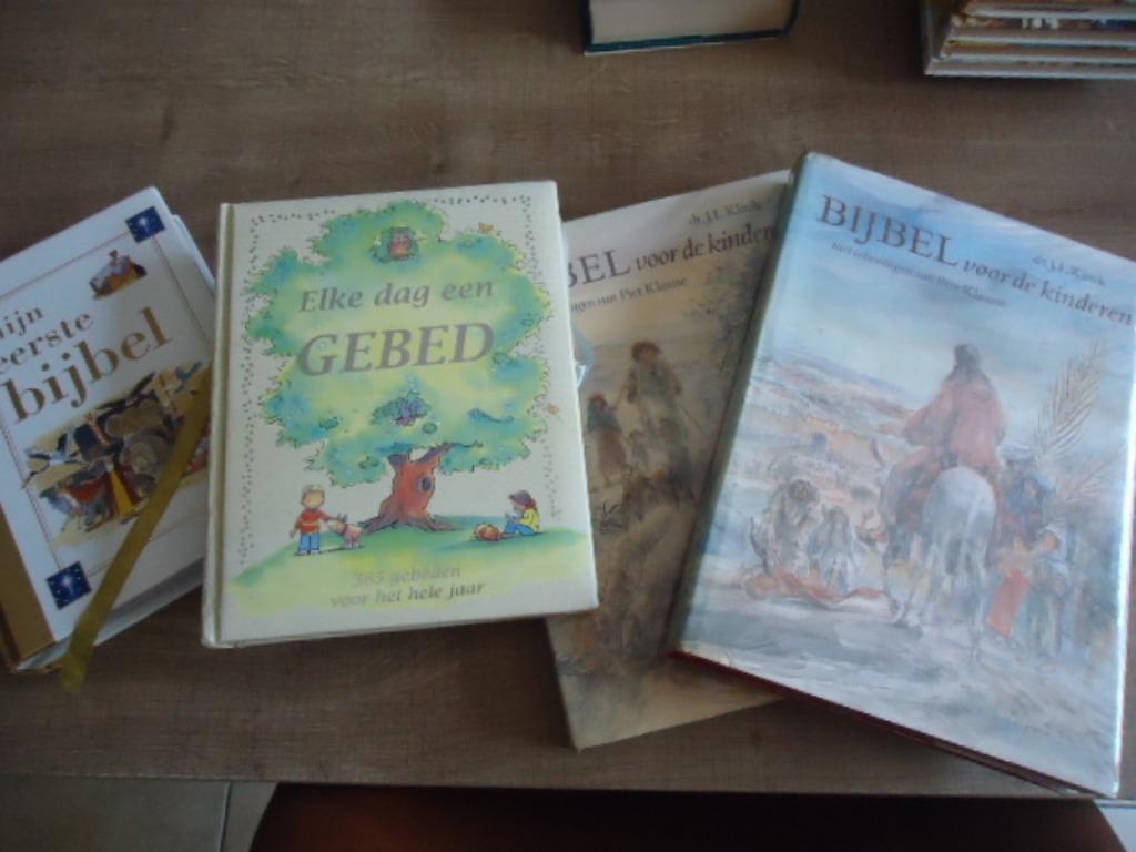 bijbels allerlei, Boeken, Godsdienst en Theologie, Gelezen, Christendom | Katholiek, Ophalen of Verzenden
