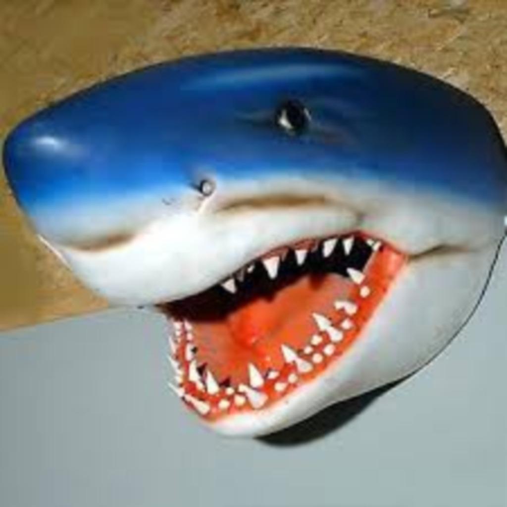 Tête de Requin bleu 80 cm polyester, Enlèvement, Neuf, Animal sauvage, Autres types