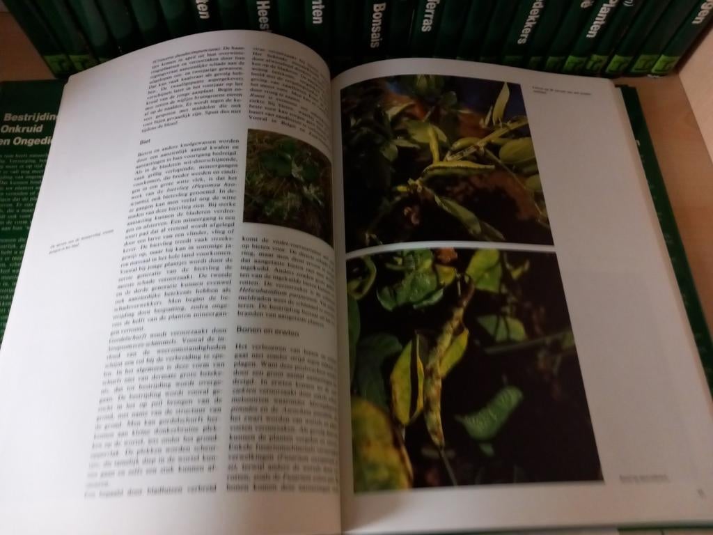 ENSEMBLE COMPLET DE 27 LIVRES SUR LES JARDINS. TAILLER, FERT, Enlèvement, Comme neuf