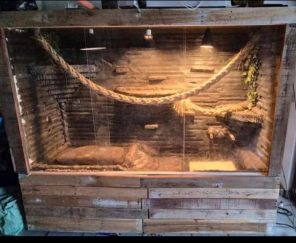 Groot terrarium!, Dieren en Toebehoren, Ophalen, Zo goed als nieuw