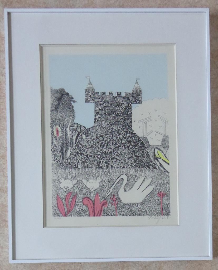 PJEROO ROOBJEE / KASTEEL ZWANEN / KLEURLITHO / 68x55cm KADER, Enlèvement ou Envoi