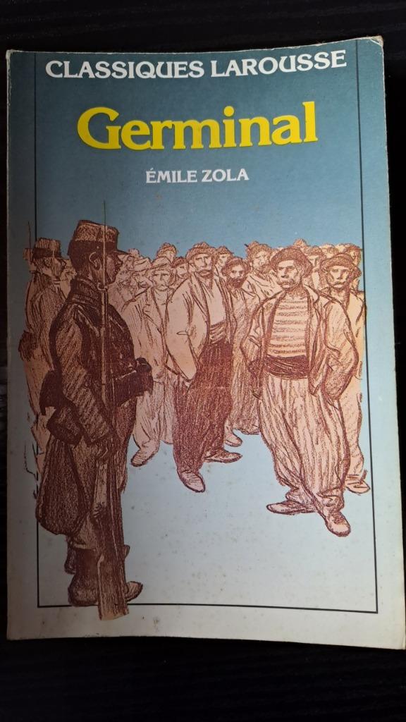 Livre "Germinal" d'Emile Zola, Livres, Enlèvement ou Envoi, Utilisé
