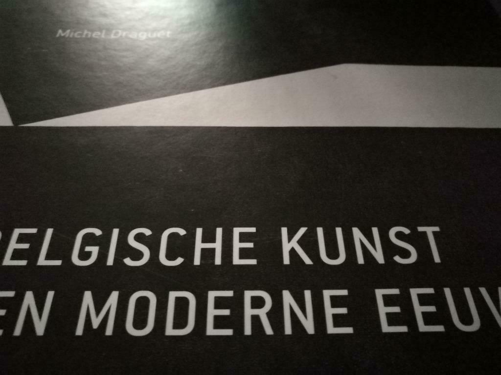 Belgische kunst 230pag Ensor Laermans Cantré Wouters Minne, Boeken, Kunst en Cultuur | Beeldend, Zo goed als nieuw, Schilder- en Tekenkunst