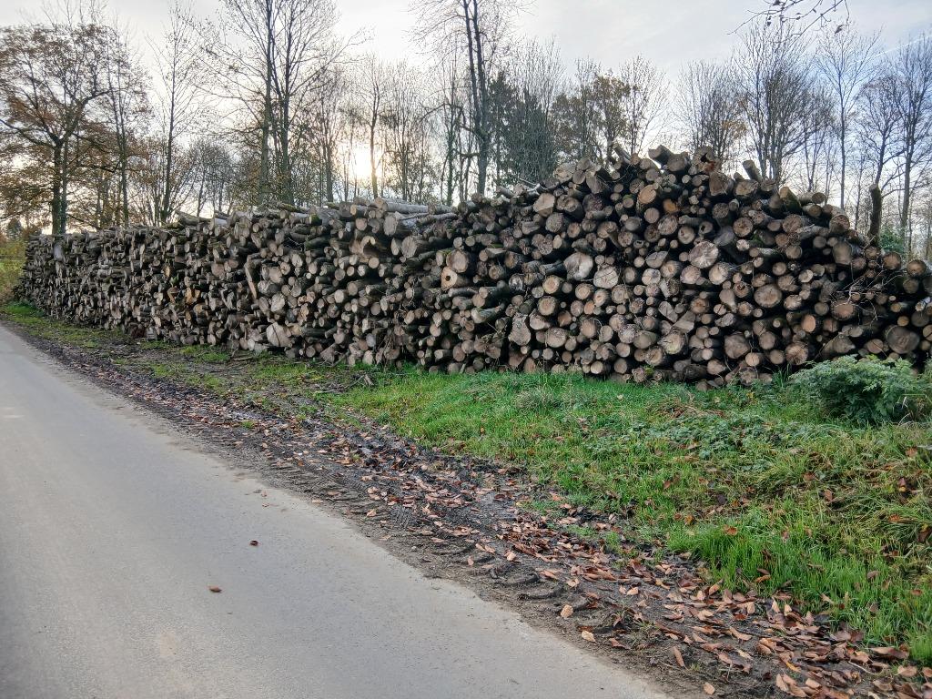 DROOG BRANDHOUT VAN HOGE KWALITEIT HET HELE JAAR DOOR!!!, Tuin en Terras, Palen, Balken en Planken, Gebruikt, Overige typen, Hardhout