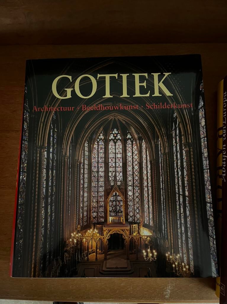 De kunst van de gotiek, Ophalen, Zo goed als nieuw, Architecten