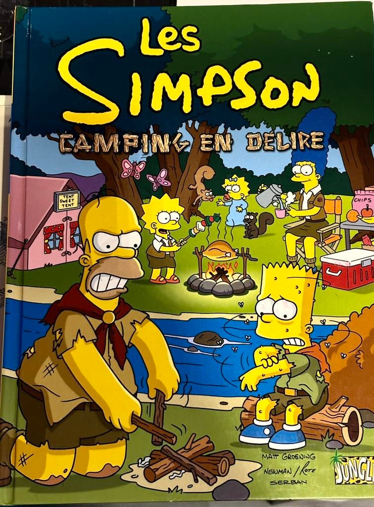 Les Simpson : Camping en délire, Livres, Enlèvement ou Envoi, Comme neuf
