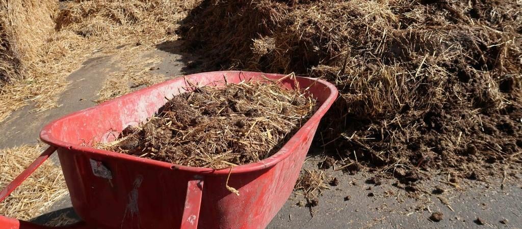 Paardenmest met stro - gratis geleverd regio rond Kortenberg, Tuin en Terras, Ophalen, Mest