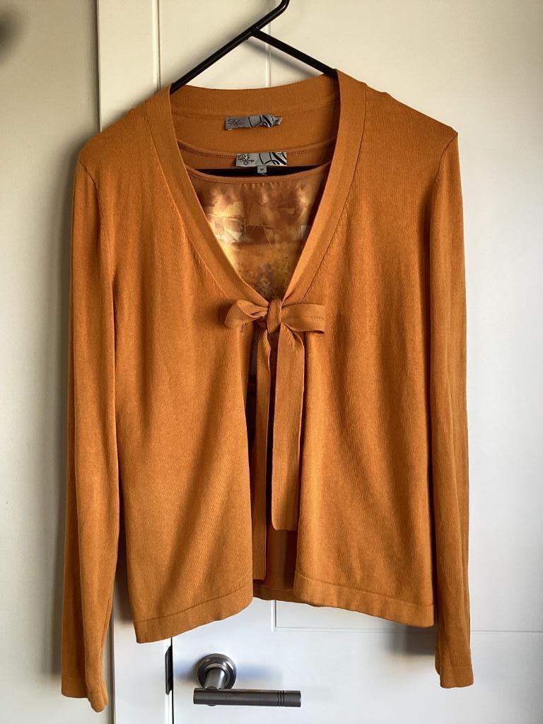 Chemise + gilet d'Auvry 38/40, Taille 38/40 (M), D’auvry, Comme neuf, Manches longues