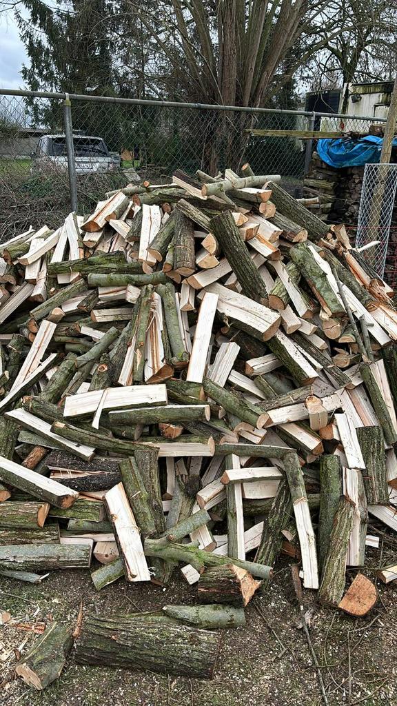 Gekliefd wilg vers, Tuin en Terras, Brandhout, 3 tot 6 m³, Ophalen, Overige houtsoorten, Blokken