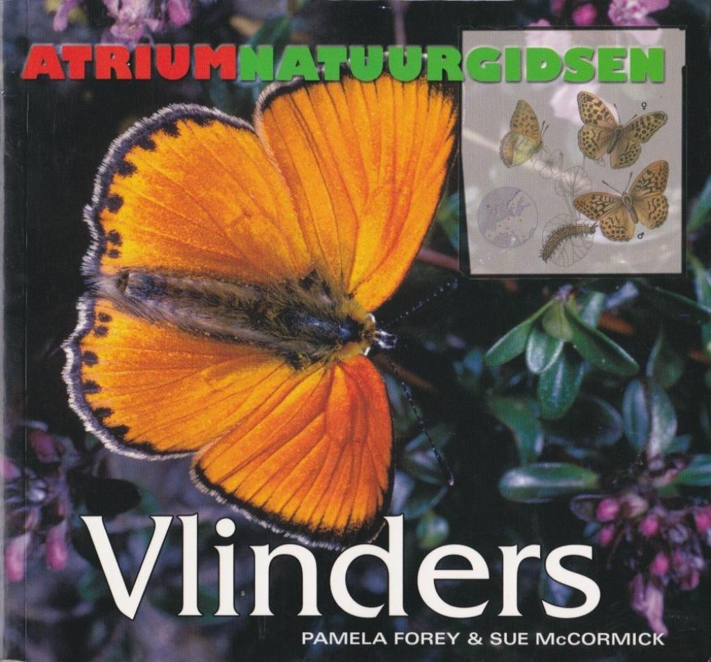 Vlinders, Ophalen of Verzenden, Natuur algemeen, Pamela forey & sue mccorm, Nieuw