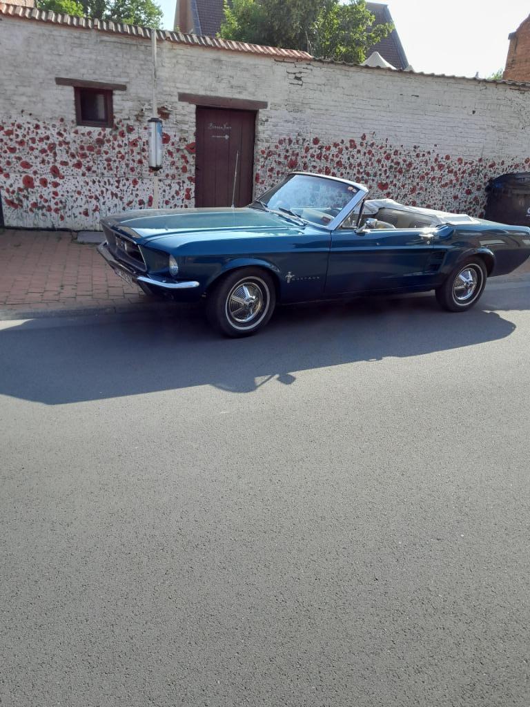 mustang, Auto's, 4 zetels, Achterwielaandrijving, Cabriolet, Bruin