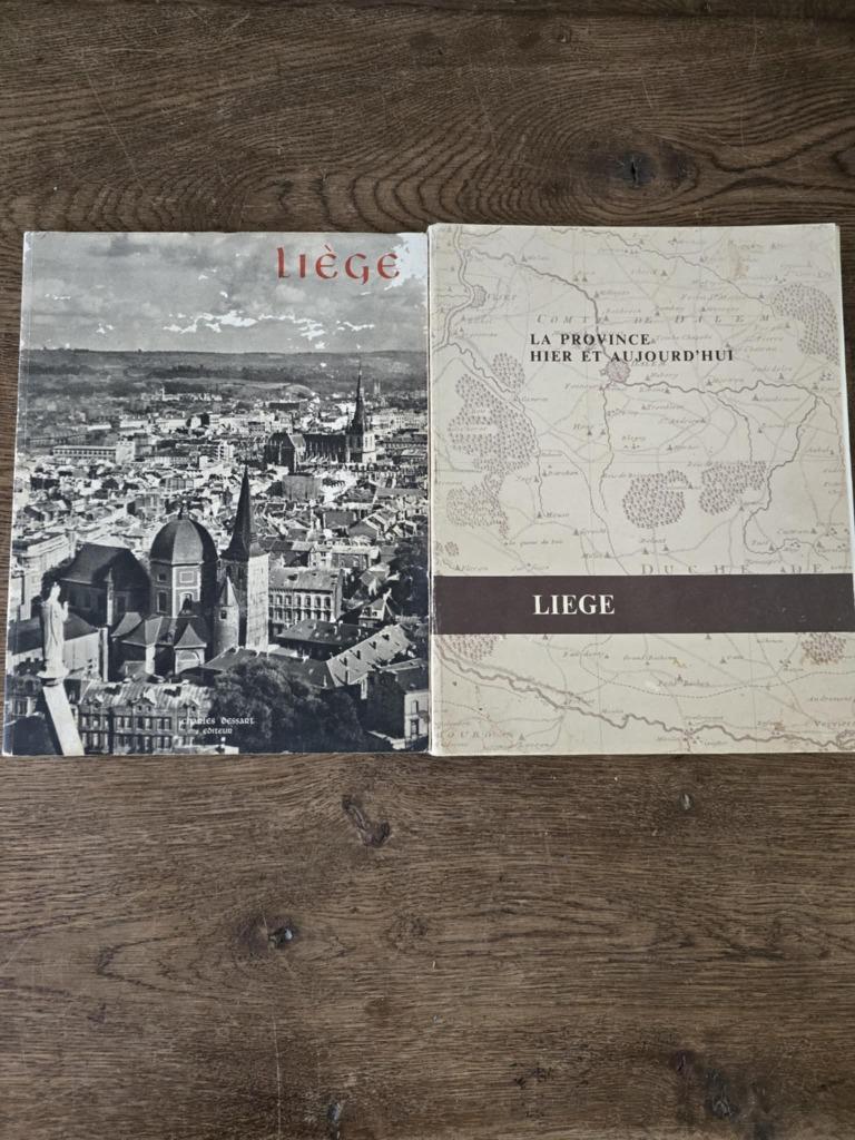 LUIK — boeken over de provincie en de stad, Boeken, Ophalen of Verzenden