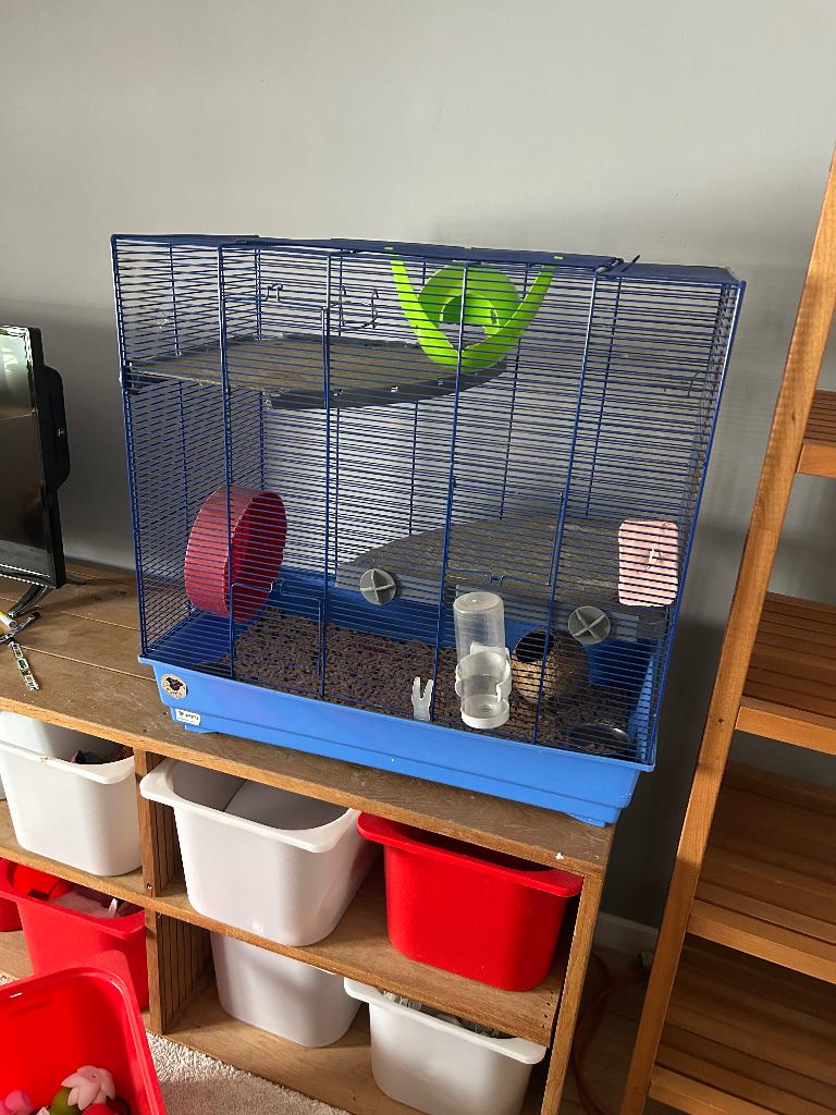 Cage rongeur, Animaux & Accessoires, Rongeurs & Lapins | Cages & Clapiers, Utilisé, Cage, 60 à 90 cm, Moins de 75 cm, Écureuil