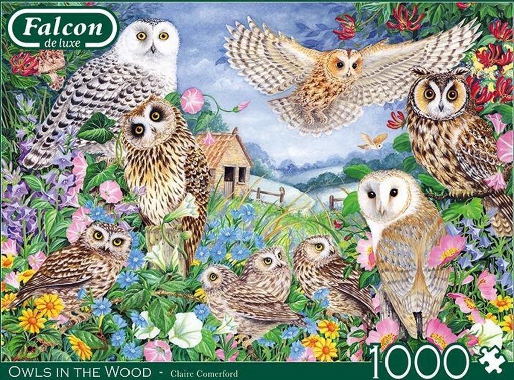 Falcon Puzzel met uilen   1000 st., Hobby en Vrije tijd, Ophalen of Verzenden, 500 t/m 1500 stukjes, Zo goed als nieuw, Legpuzzel