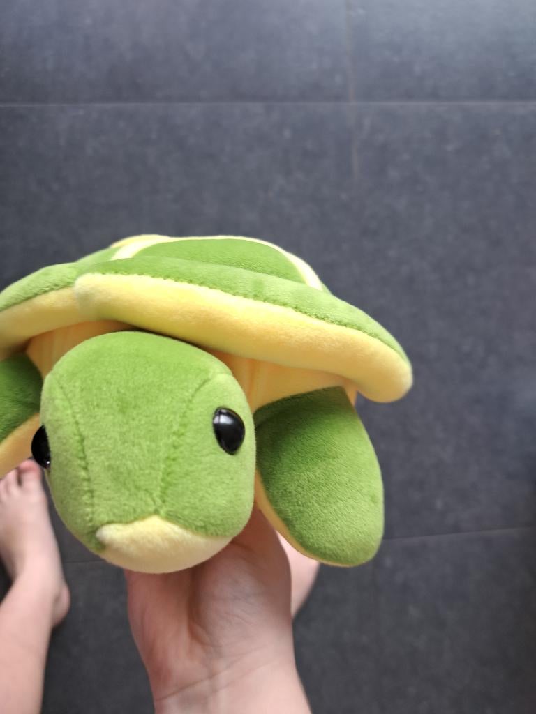 Schildpad, Dieren en Toebehoren, Reptielen en Amfibieën, Schildpad