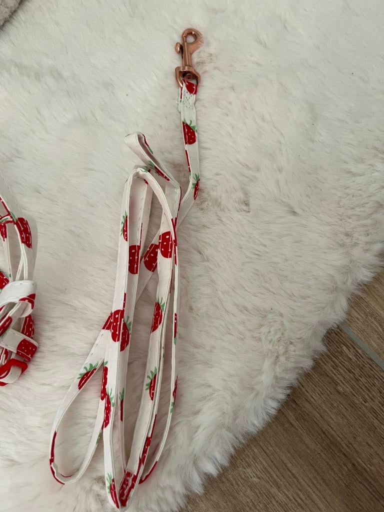 Laisse lead et harnais harness fraises animaux, Enlèvement ou Envoi