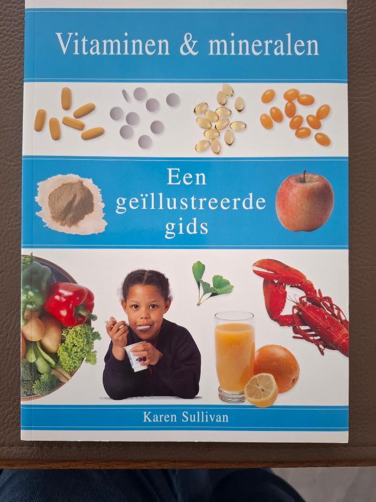 VITAMINEN EN MINERALEN - Karen Sullivan, Boeken, Gezondheid, Dieet en Voeding, Zo goed als nieuw, Ophalen of Verzenden