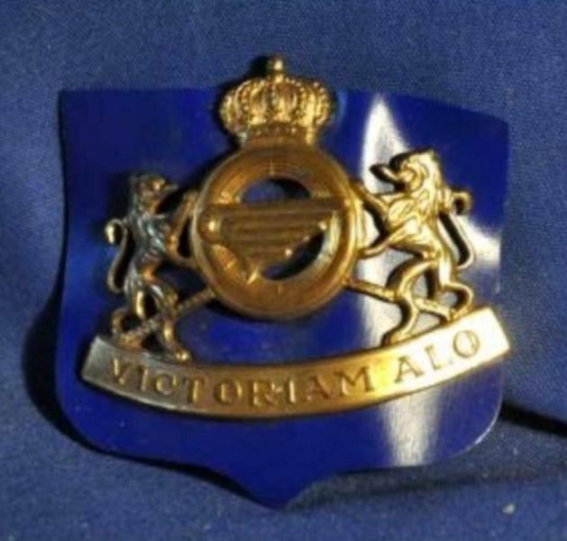 § insigne de beret victoriam alo, Collections, Enlèvement ou Envoi, Emblème ou Badge