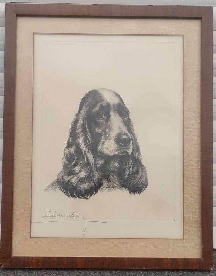 gravure chien signe leon danchin, Ophalen of Verzenden