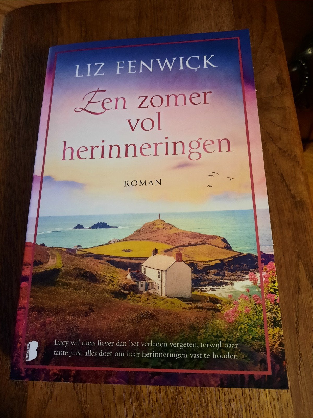 Roman Een zomer vol herinneringen. Liz Fenwick., Ophalen, Zo goed als nieuw