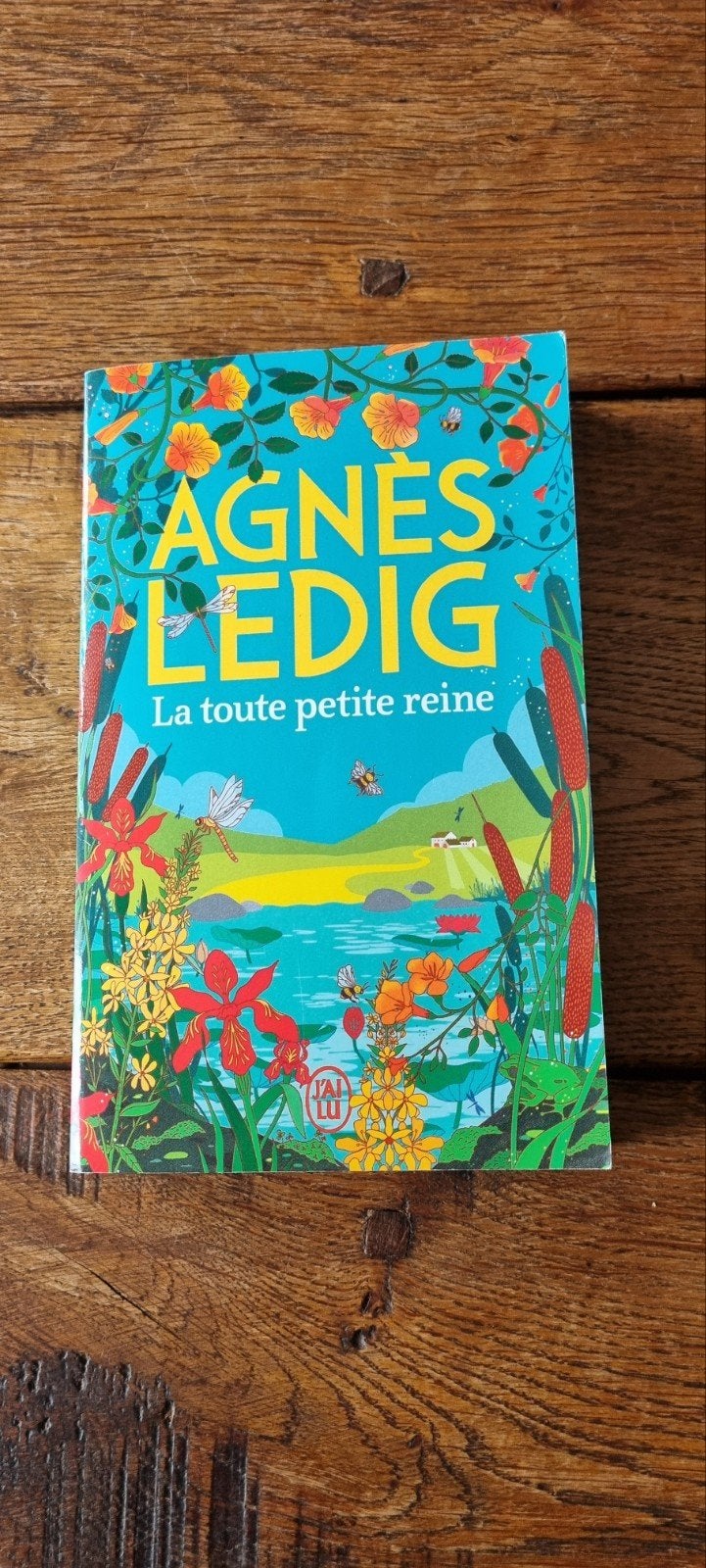"La toute petite reine" d'Agnès Ledig, Enlèvement ou Envoi, Comme neuf, Agnès Ledig