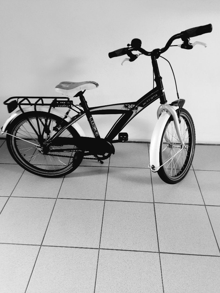 Jongensfiets loekie met 20 inch wielen, Fietsen en Brommers, Fietsen | Jongens, Ophalen, Terugtraprem, Gebruikt, Loekie