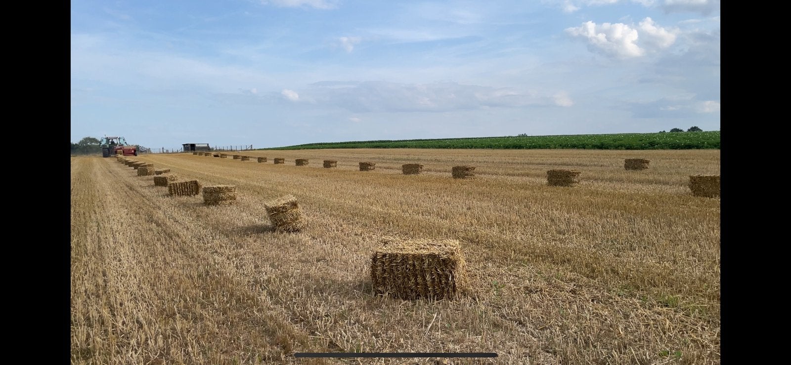 Kleine balen stro, Zakelijke goederen, Landbouw | Veevoer, Ophalen