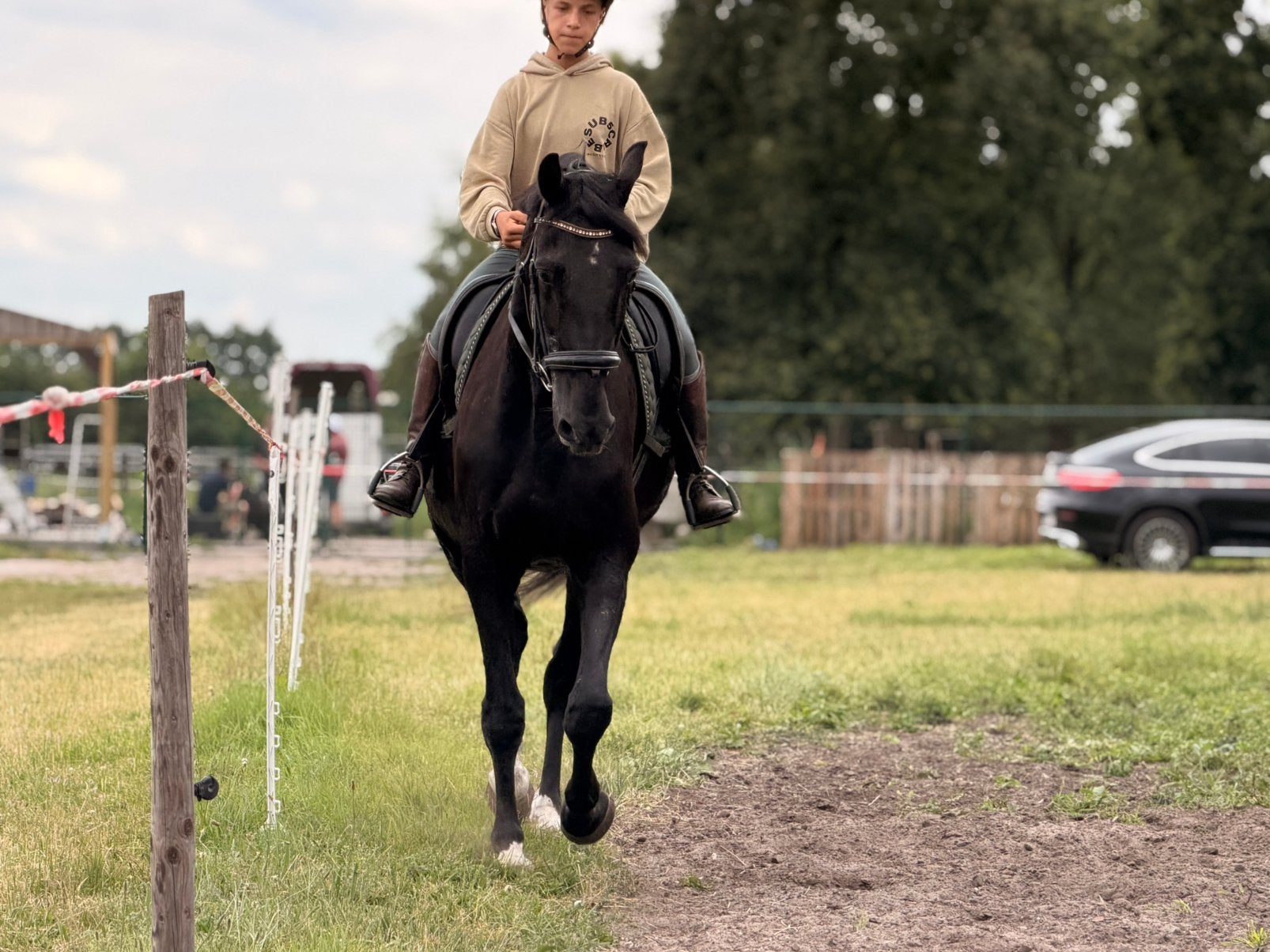 Braaf 7 jarige grote Dressuurpaard VANDAAG OPHALEN, Dieren en Toebehoren, Paarden, 175 cm of meer, Met stamboom, Ruin, M