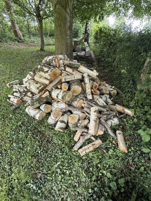 brandhout, Tuin en Terras, Brandhout, Minder dan 3 m³, Ophalen, Berkenhout, Blokken