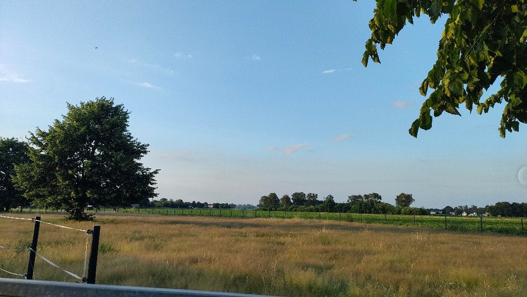 Weide met schuilstal + watervoorziening te huur