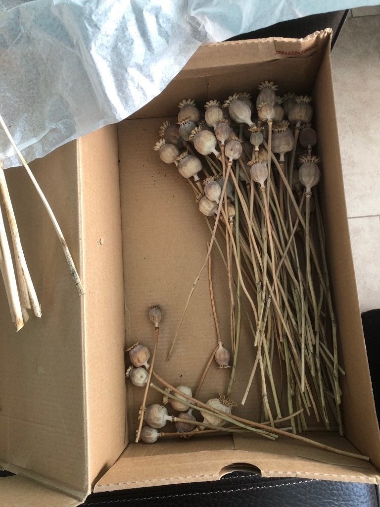 Lot Droogbloemen / papavers / klaproos / boshyacint, Ophalen, Zo goed als nieuw