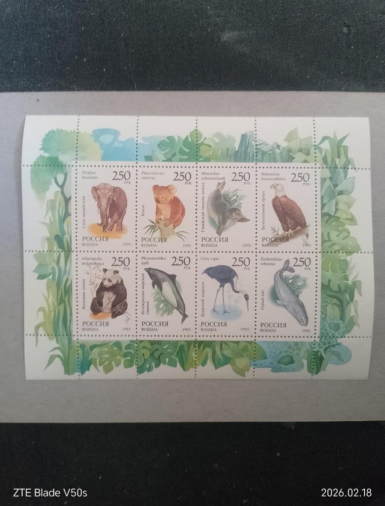 Timbres | Animaux | Oiseaux | oiseaux, Enlèvement ou Envoi