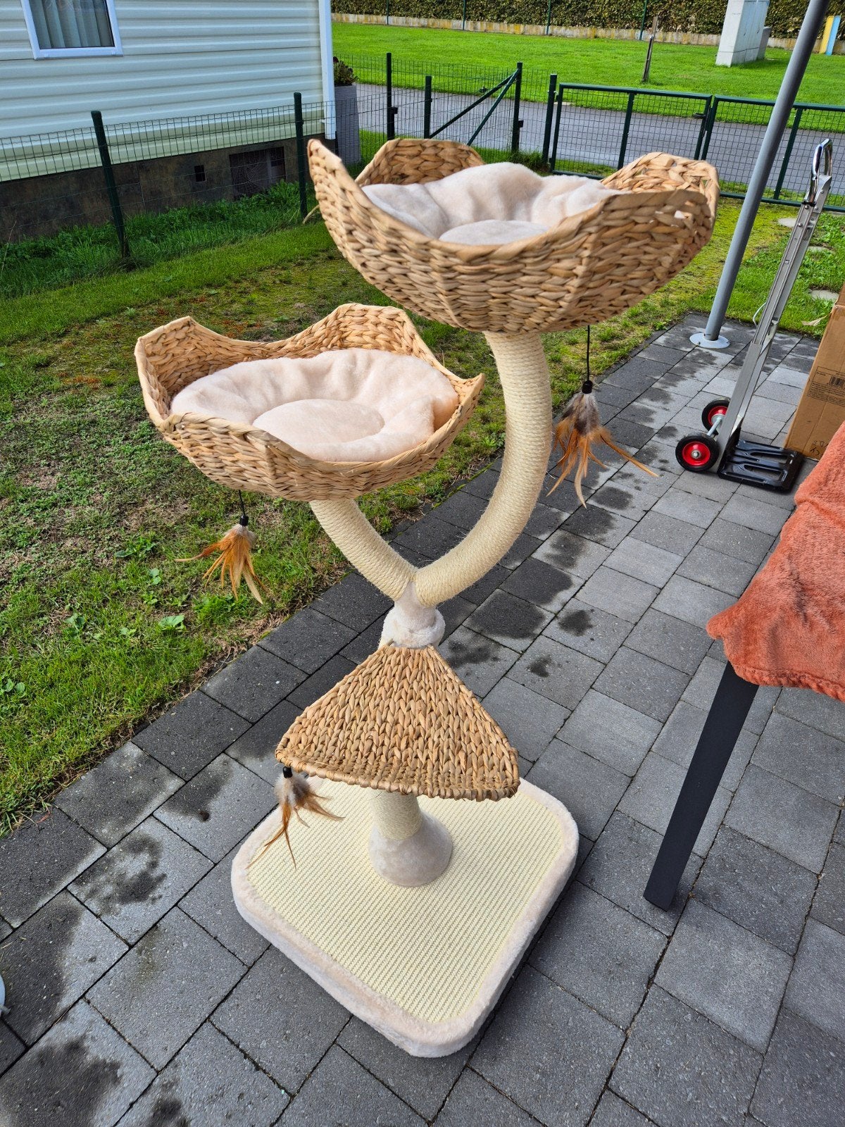 Nouvel arbre à chat fleuri, Animaux & Accessoires, Enlèvement, Neuf, Griffoir