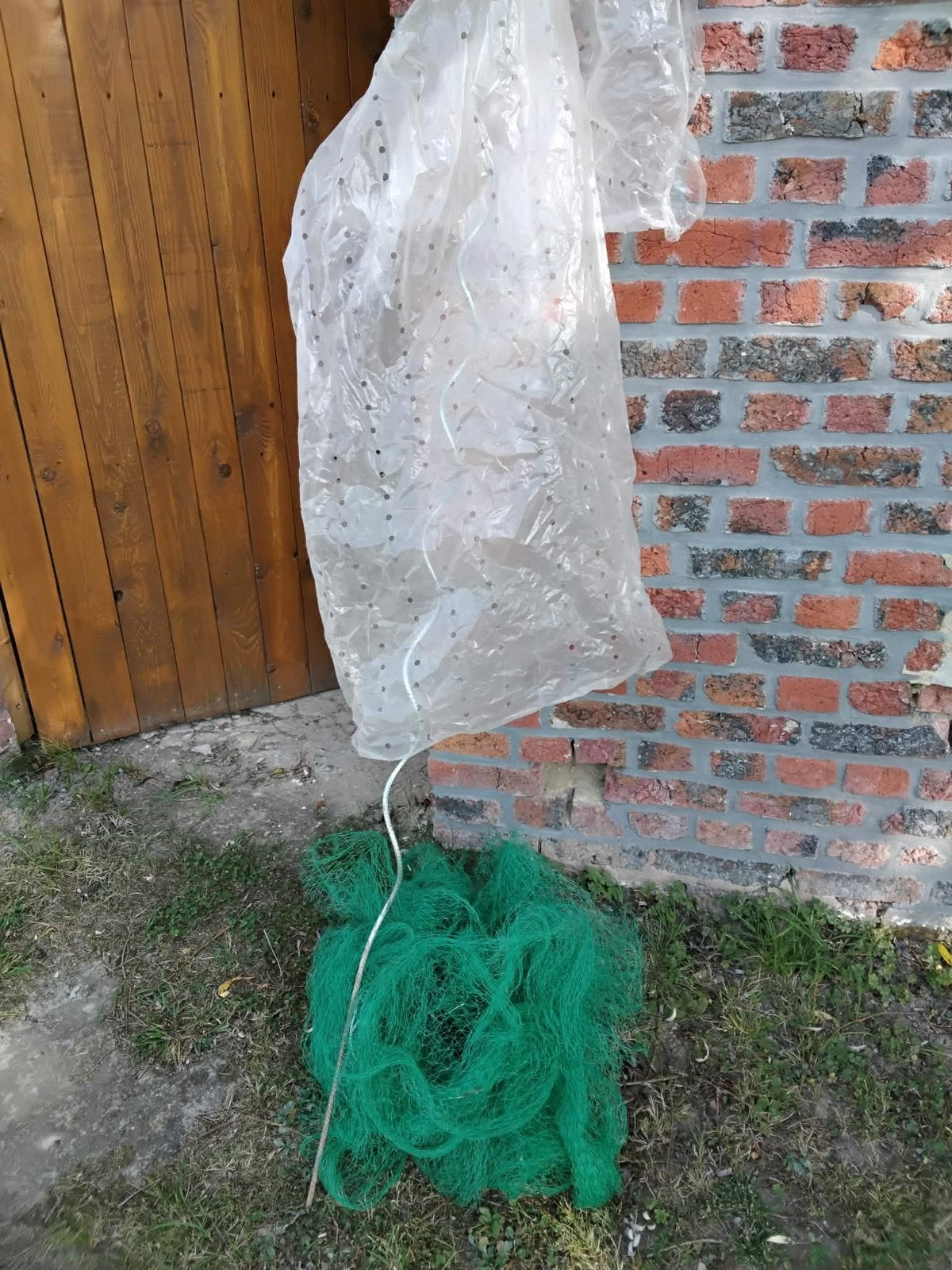 Tuteurs en spirale pour tomates + housses + filets, Jardin & Terrasse, Enlèvement, Comme neuf
