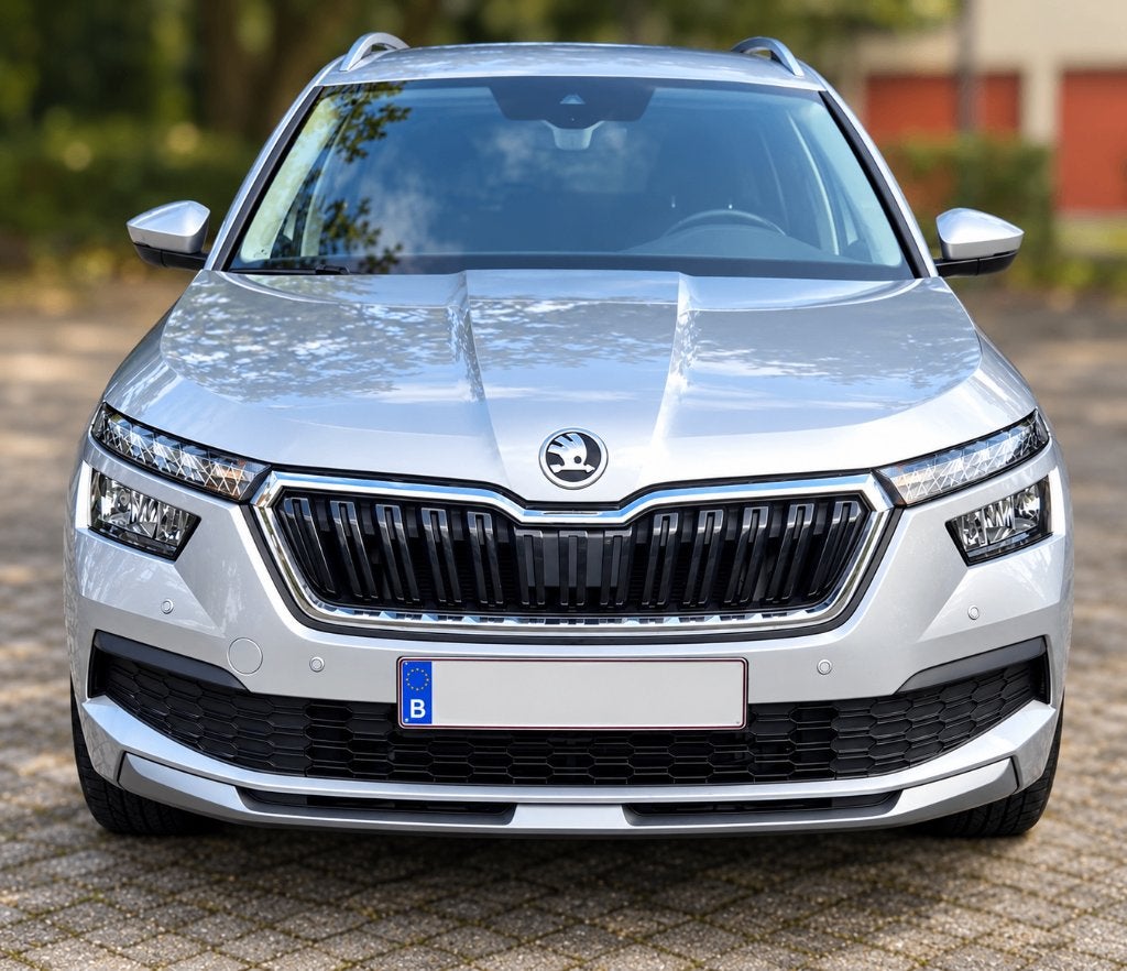 Skoda Kamiq, Auto's, Stof, 1236 kg, 620 kg, 127 g/km