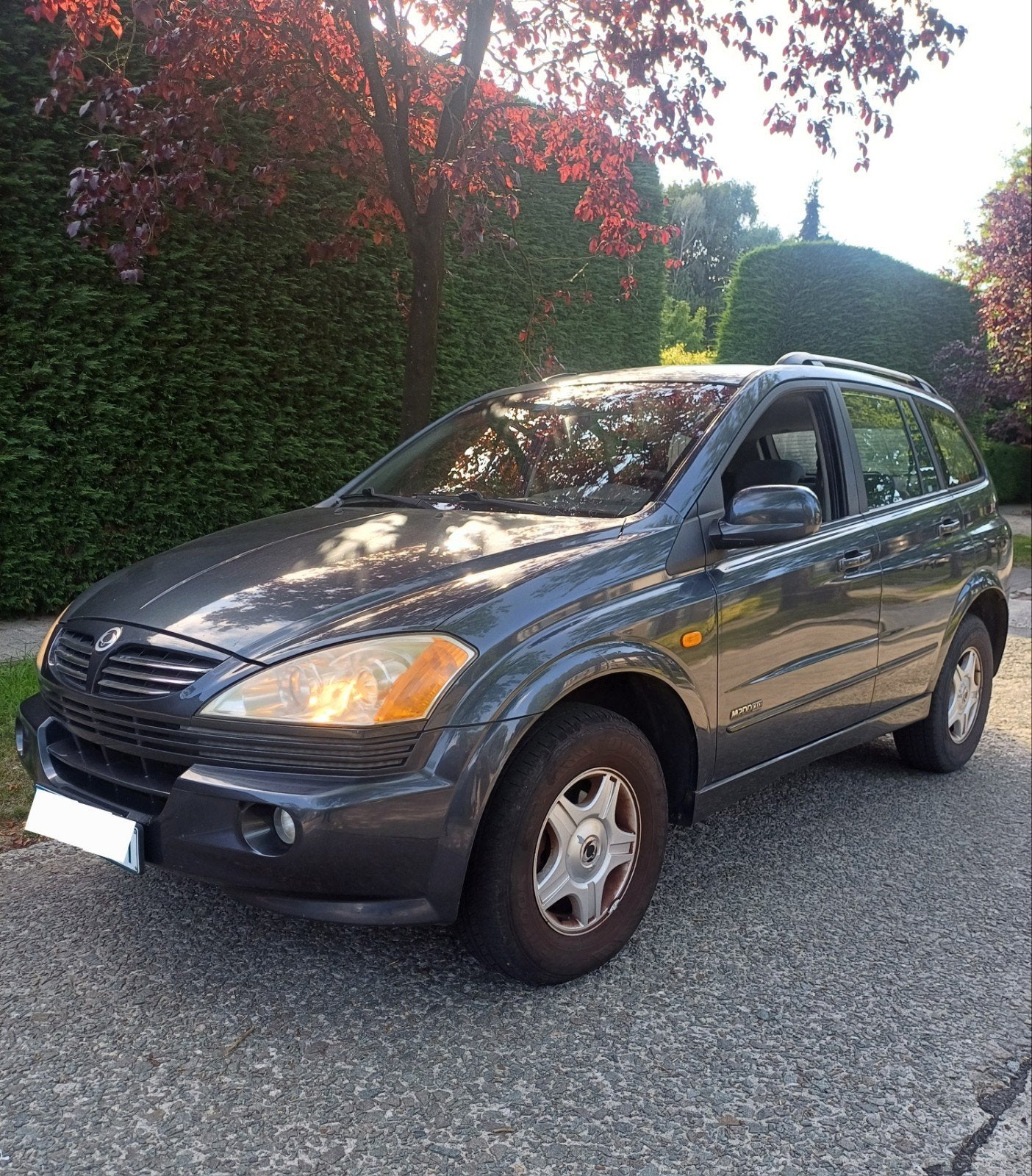 Ssangyong Lyron 2.0xdi, Achat, Attache-remorque, Diesel, Automatique