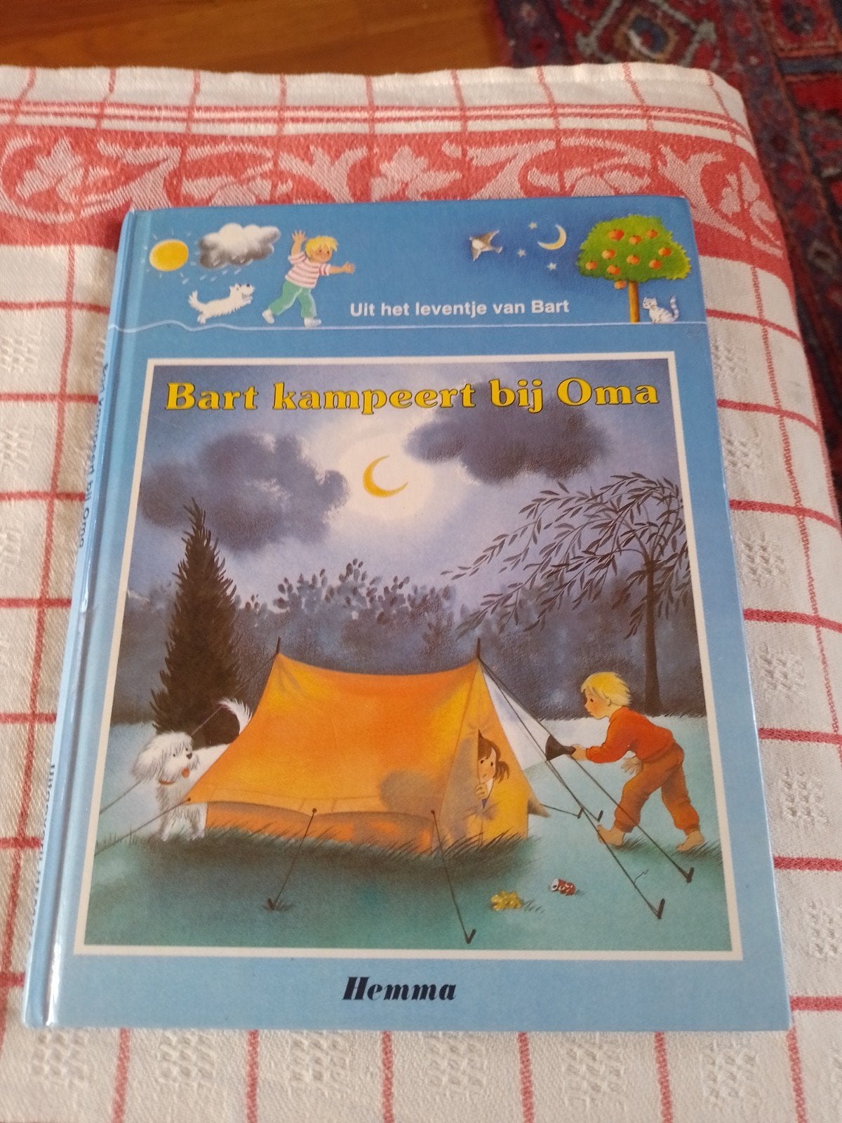 Bart kampeert bij oma, Livres, Enlèvement ou Envoi