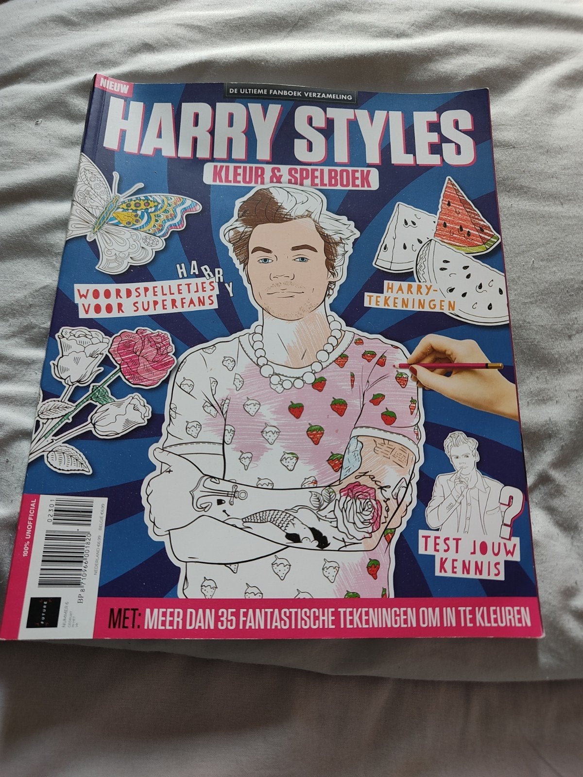 Carnet de couleurs et de jeux Harry Styles, Livres, Envoi, Comme neuf, Musique, Cinéma ou TV