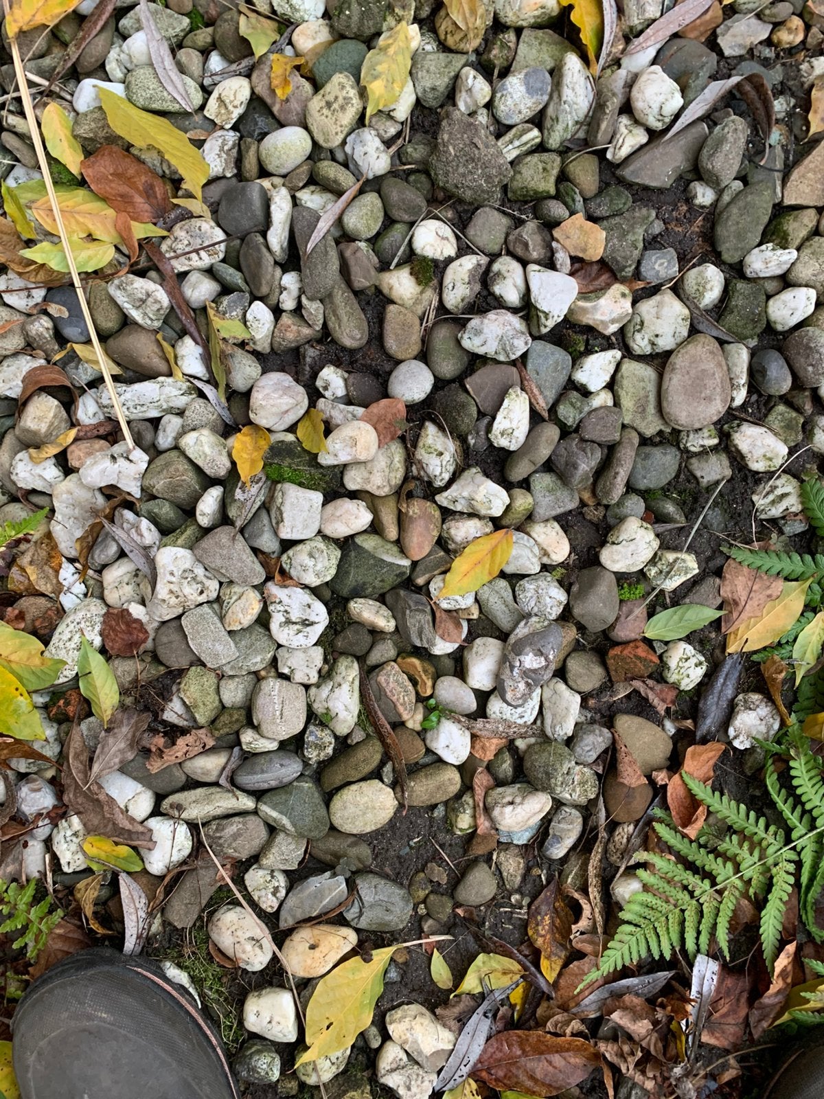 Tuin keien, Ophalen