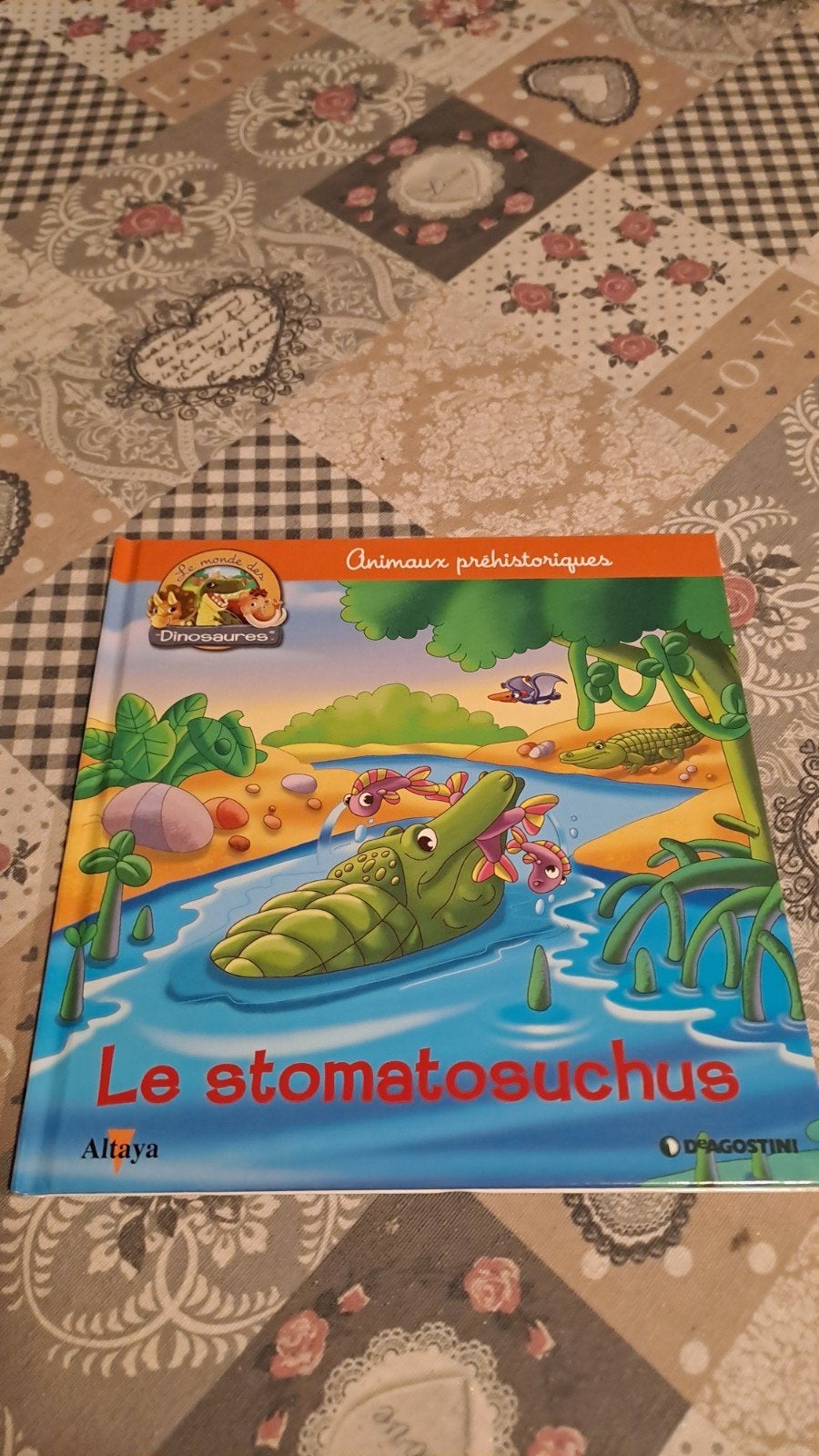Collection livres "La vie pendant la préhistoire", Livres, Enlèvement