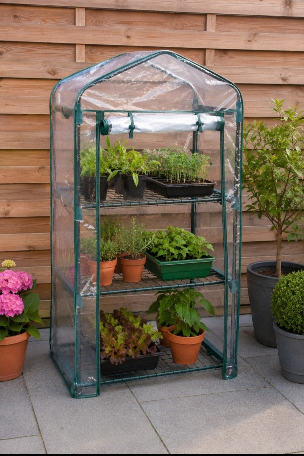 Tectake Mini-Kas Kweekkas met 3 Schappen – Nieuw in Doos, Tuin en Terras, Kassen, Kweekkas, Ophalen