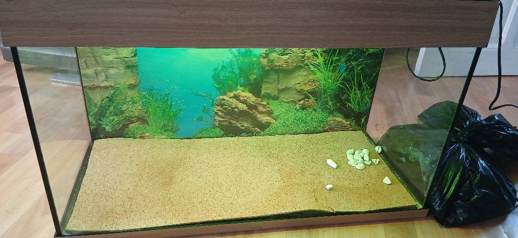 Terrarium, Animaux & Accessoires, Reptiles & Amphibiens | Accessoires, Enlèvement, Utilisé, Terrarium ou Paludarium