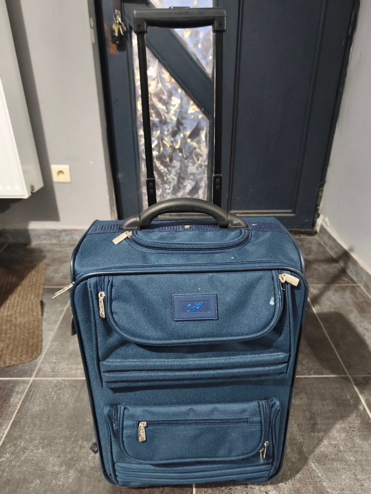 valise cabine Skybags, Moins de 35 cm, Enlèvement, Moins de 50 cm, Autres matériaux