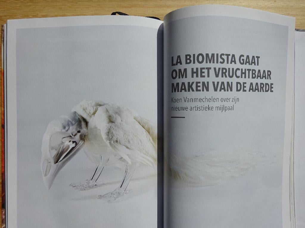 Koen Vanmechelen - Prestige - 2017, Ophalen of Verzenden, Nieuw, Overige onderwerpen