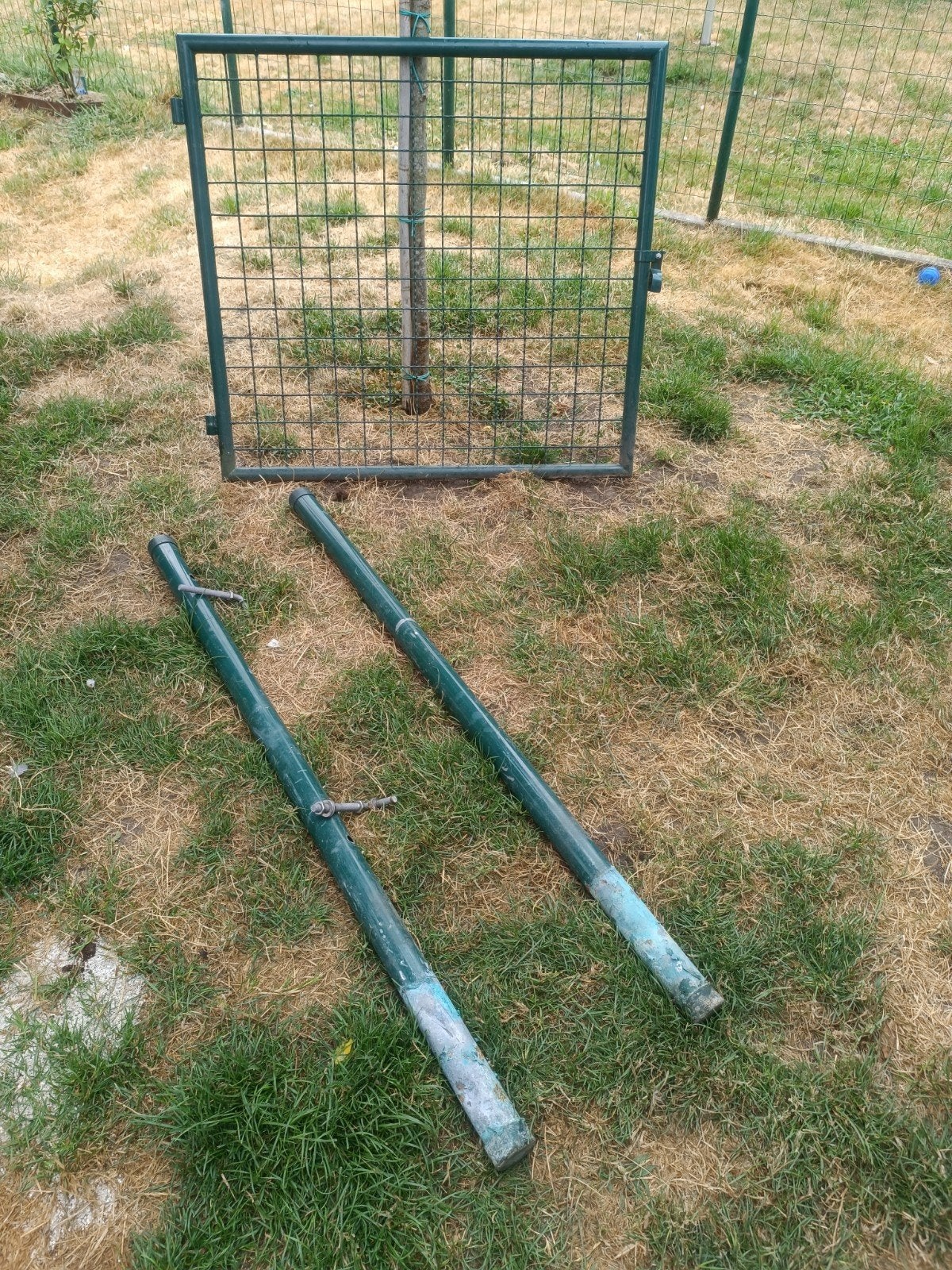 tuinpoort je 50€, Moins de 100 cm, Enlèvement, Moins de 100 cm, Utilisé
