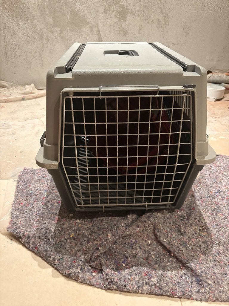 Transportbak hond, Ophalen