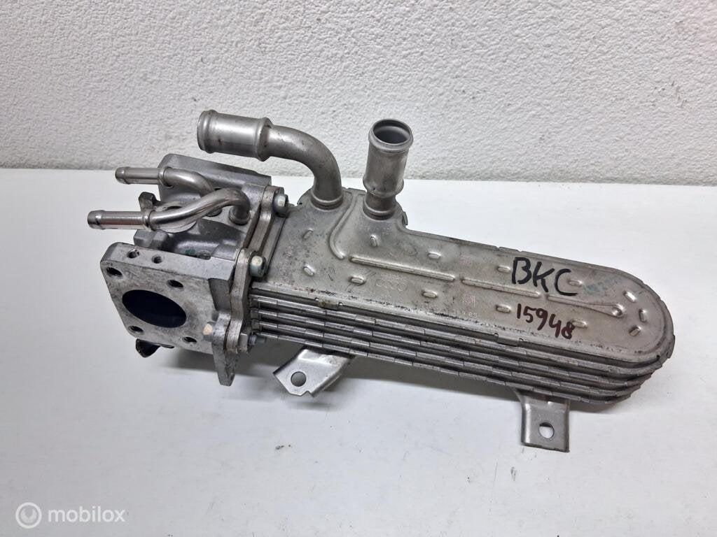 Egr klep Vw Golf V ('03-'08) 038131513AD, Gebruikt, Volkswagen, Ophalen of Verzenden, Volkswagen