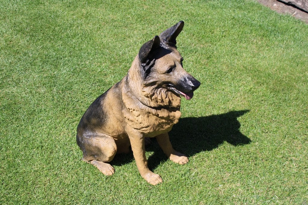 statue chien Berger allemand taille naturel !, Enlèvement, Comme neuf, Synthétique, Animal