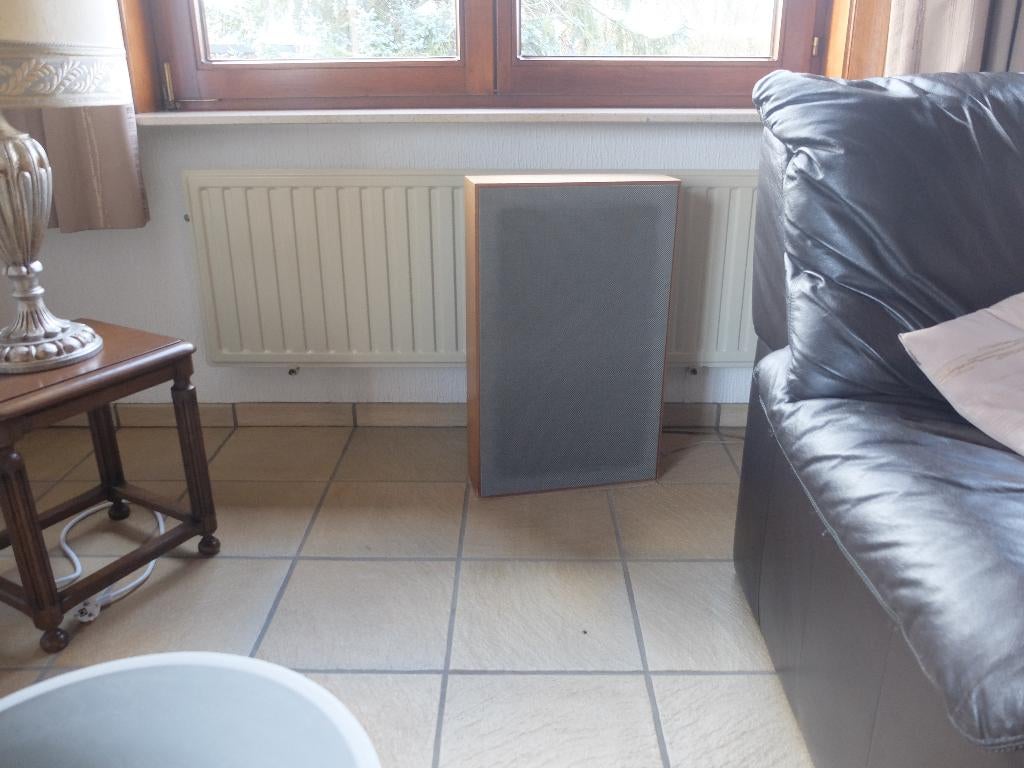 2 Grote vlakke stereo luidsprekerboxen, Audio, Tv en Foto, Luidsprekerboxen, Ophalen, Zo goed als nieuw, Front, Rear of Stereo speakers